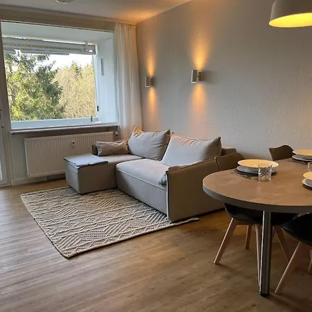 Apartment Hahnenklee'r Berg-glueck Ii - Modernes *