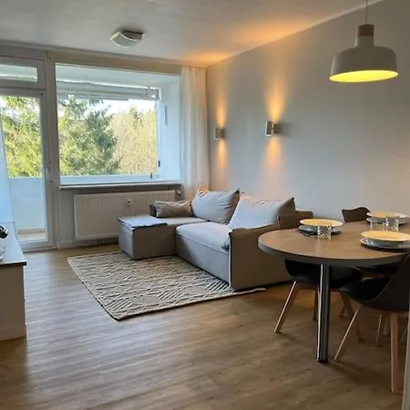 Apartment Hahnenklee'r Berg-glueck Ii - Modernes *