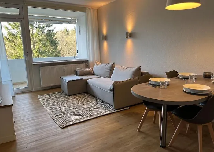 公寓 Hahnenklee'r Berg-glueck Ii - Modernes *